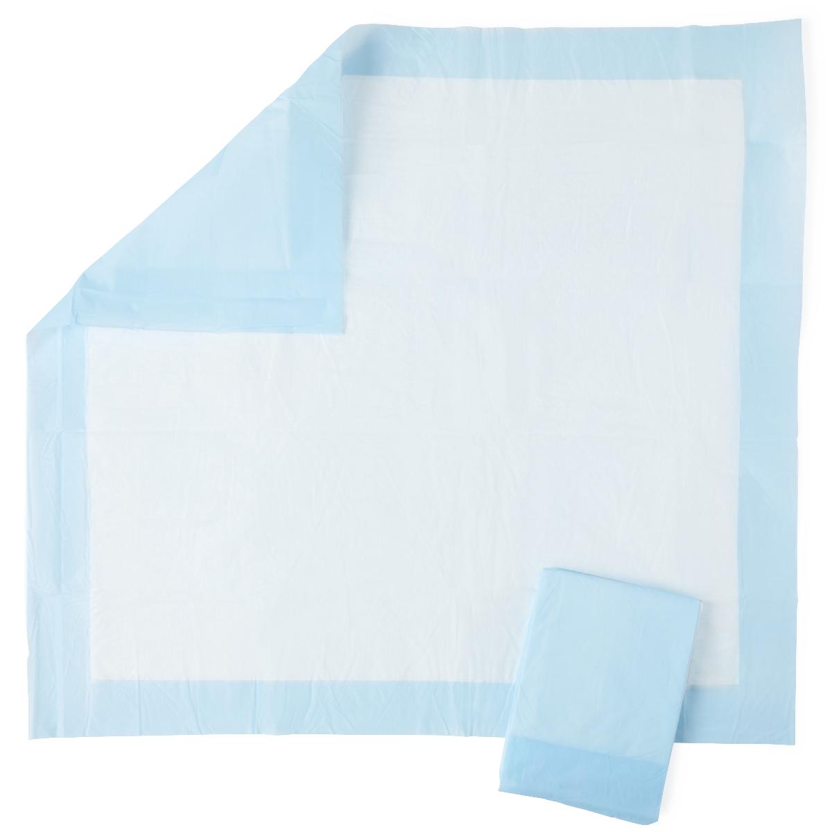 Disposable Underpads, Blue, 23"x 24", Case of 200